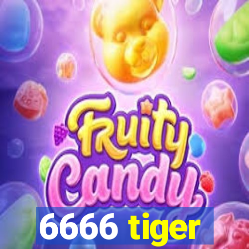 6666 tiger